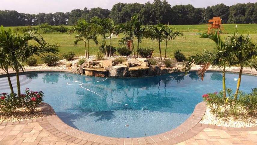 A pool with palm trees and grass hiding pool equipment